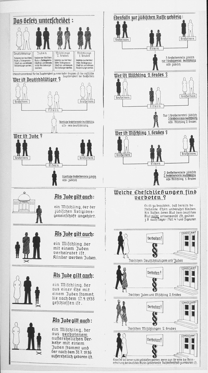 Nazi Racial Chart